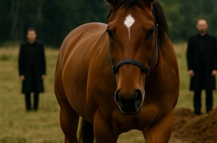  Κατά τη διάρκεια της κηδείας, ένα άλογο βγήκε τρέχοντας από το δάσος και στάθηκε δίπλα στο φέρετρο. Κανείς δεν περίμενε γιατί είχε έρθει.