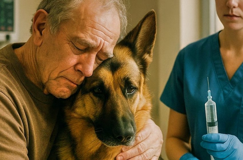  Ο σκύλος κολλήθηκε στον ιδιοκτήτη του πριν από την ευθανασία, και η κτηνίατρος που παρατήρησε κάτι φώναξε: «Σταματήστε!» Αυτό που συνέβη στη συνέχεια συγκλόνισε όλους τους παρευρισκόμενους.