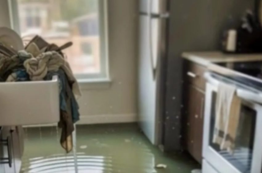  Η έγκυος κουνιάδα μου πλημμύρισε το σπίτι μας από εκδίκηση — αλλά δεν φαντάστηκε ποτέ τι θα κάναμε εμείς μετά!